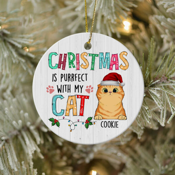Personalized Ornament For Cat Owners Xmas Is Perfect With My Pet Holly Custom Name Tree Hanging Gifts For Christmas