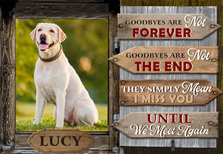 Personalized Memorial Canvas Wall Art For Loss Of Cat Dog Goodbyes Are Not Forever Vintage Window Custom Name & Photo