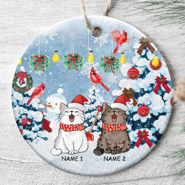 Personalized Ornament For Cat Lovers Ribbon Cardinal Wreath Snowflake Custom Name Tree Hanging Gifts For Christmas Xmas