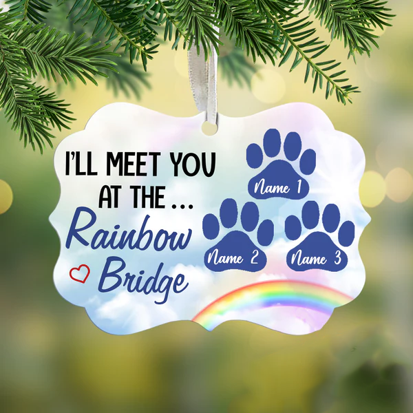 Personalized Memorial Ornament For Pet Loss I'll Meet You At The Rainbow Custom Name Tree Hanging Sympathy Gifts