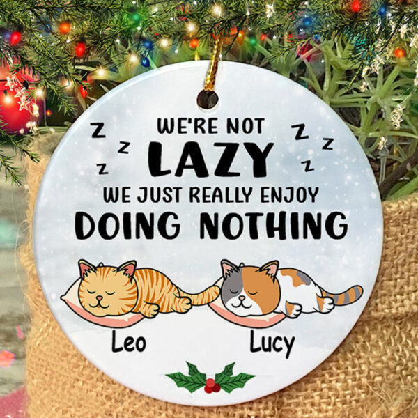 Personalized Ornament For Cat Lovers We Just Really Enjoy Doing Nothing Custom Name Tree Hanging Gifts For Christmas