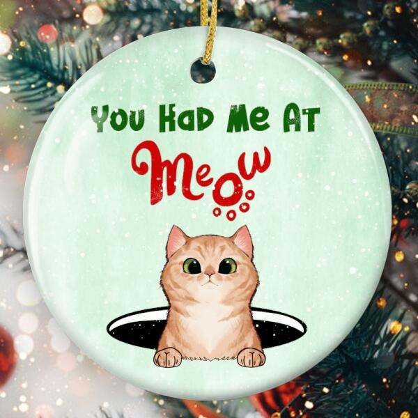 Personalized Ornament For Cat Lovers Funny You Had Me At Meow Forever Home Custom Name Tree Hanging Gifts For Christmas