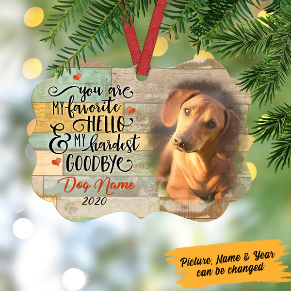 Personalized Memorial Ornament For Pet Loss You Are My Favorite Hello Custom Name Photo Tree Hanging Bereavement Gifts