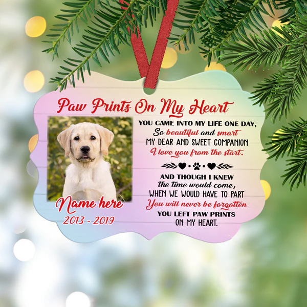 Personalized Memorial Ornament For Pet Loss I Know The Time Would Come Custom Name Photo Tree Hanging Sympathy Gifts