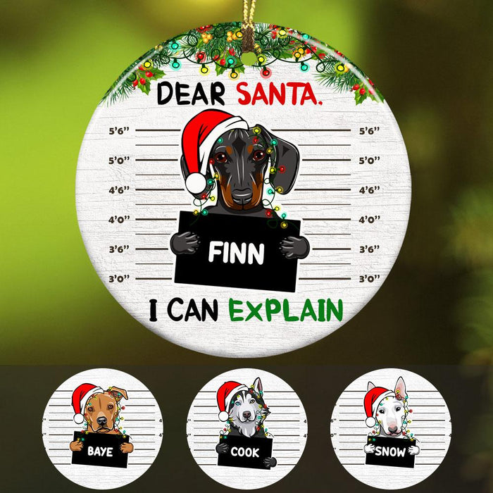 Personalized Ornament For Dog Owners I Can Explain Light Garland Santa Hat Custom Name Tree Hanging Gifts For Christmas