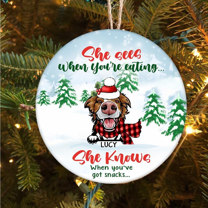 Personalized Ornament For Dog Lovers She Sees When You're Eating Pine Tree Custom Name Tree Hanging Gifts For Christmas