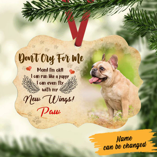 Personalized Memorial Ornament For Pet Loss In Heaven I Can Fly With My Eagle Wings Custom Name Photo Tree Hanging Gifts