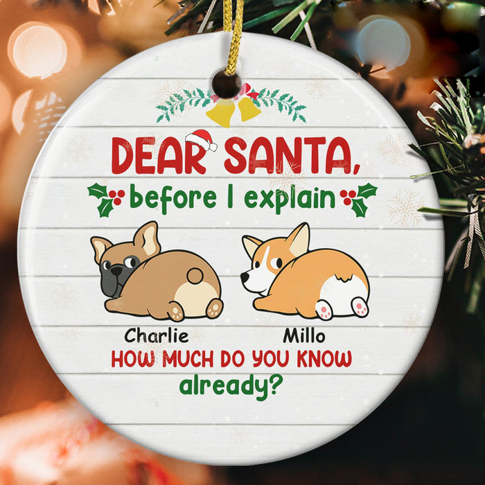 Personalized Ornament For Dog Lovers Before I Explain How Much Do You Know Custom Name Tree Hanging Gifts For Christmas