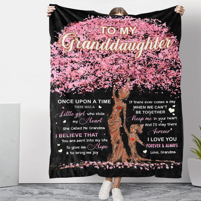 Personalized To My Granddaughter Blanket From Grandma Once Upon A Time There Was A Little Girl Pink Tree Printed