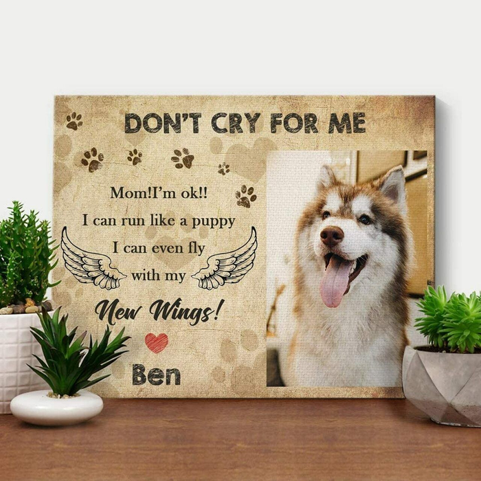 Personalized Memorial Canvas Wall Art For Loss Of Cat Dog Don't Cry For Me Angel Wings Pawprints Custom Name & Photo