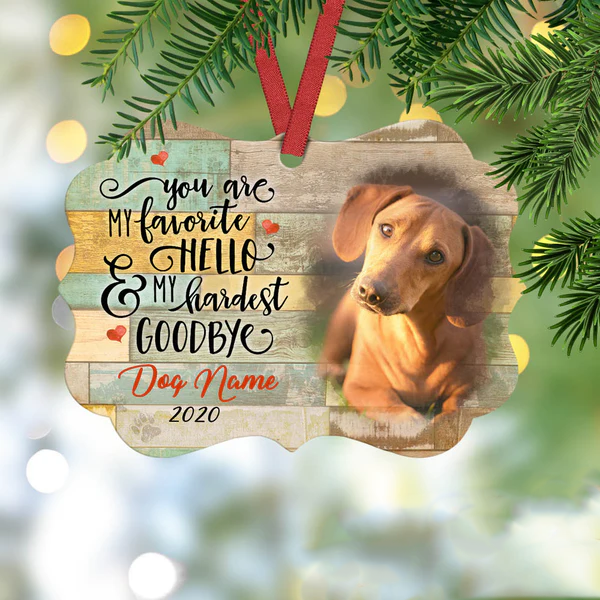 Personalized Memorial Ornament For Pet Loss You Are My Favorite Hello Custom Name Photo Tree Hanging Bereavement Gifts
