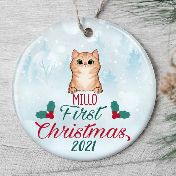 Personalized Ornament For Cat Lovers First Xmas Cute Pet Holly Branch Custom Name Tree Hanging Gifts For Christmas