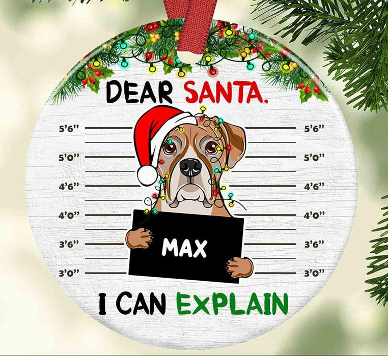 Personalized Ornament For Dog Owners I Can Explain Light Garland Santa Hat Custom Name Tree Hanging Gifts For Christmas