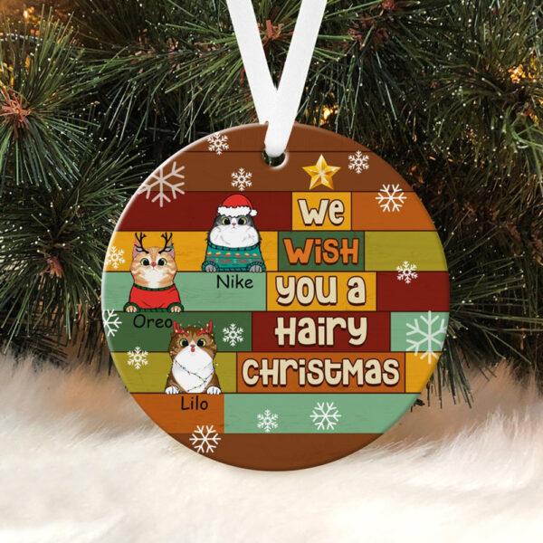 Personalized Ornament For Cat Lovers We Wish You A Hairy Christmas Snowflakes Custom Name Tree Hanging Gifts For Xmas
