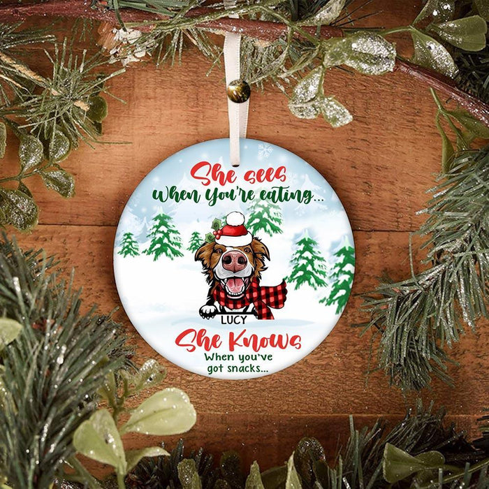 Personalized Ornament For Dog Lovers She Sees When You're Eating Pine Tree Custom Name Tree Hanging Gifts For Christmas