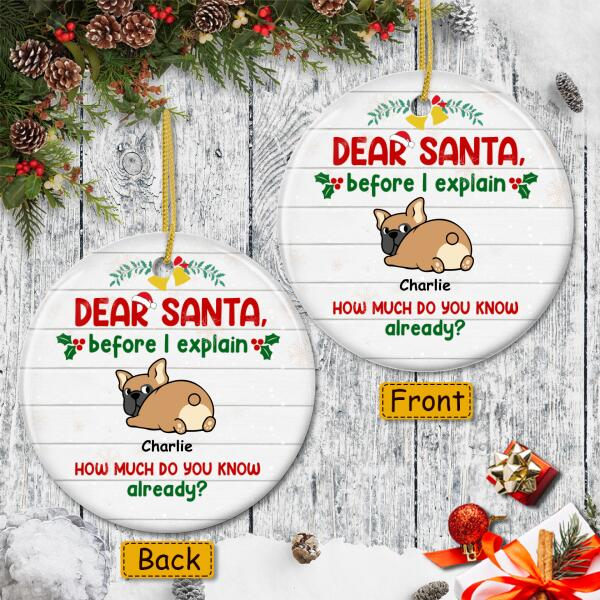 Personalized Ornament For Dog Lovers Before I Explain How Much Do You Know Custom Name Tree Hanging Gifts For Christmas