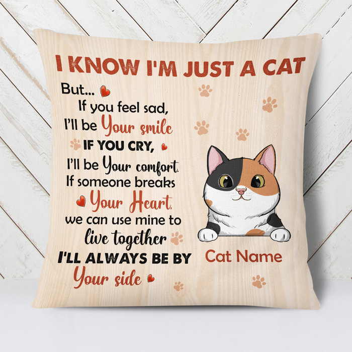 Personalized Square Pillow Gifts For Cat Lovers I'll Always Be By Your Side Custom Name Sofa Cushion For Christmas Xmas